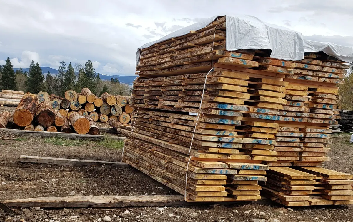Lumber stacks in the mill yard with mountains beyond