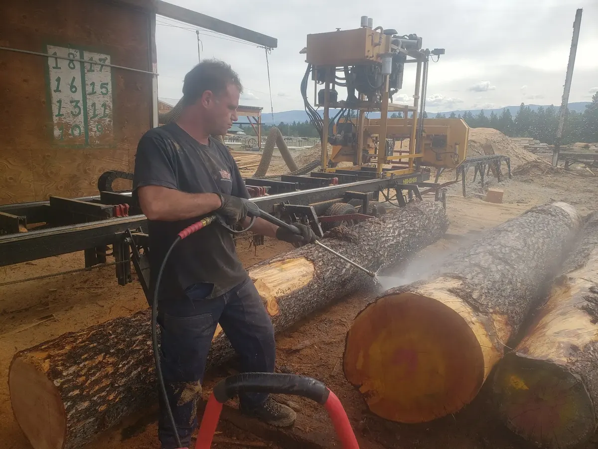 Sawmill operator cutting a log at the bandsaw