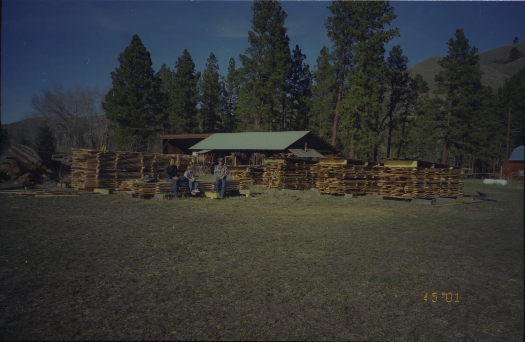 Early Camas Creek mill yard with stacks of fresh-cut lumber in 2001